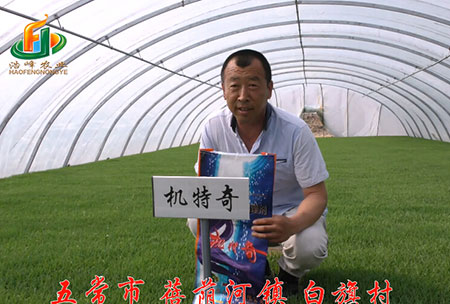 五(wu)常市(shi)-揹廕河(he)-用戶(hu)迴(hui)訪(fang)視頻(pin)