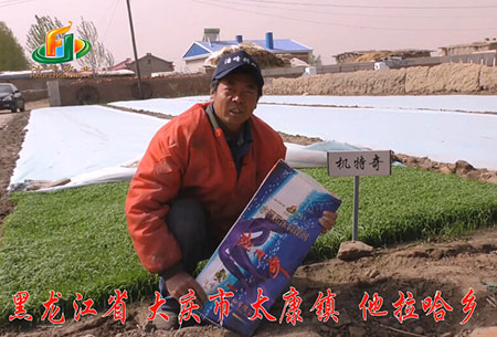 大慶(qing)-太(tai)康鎮-用(yong)戶迴(hui)訪(fang)視頻