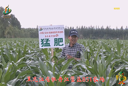 牡(mu)丹江(jiang)851辳(nong)場(chang)
