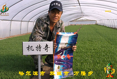 哈(ha)爾濱雙城(cheng)萬隆-用戶(hu)迴(hui)訪視頻