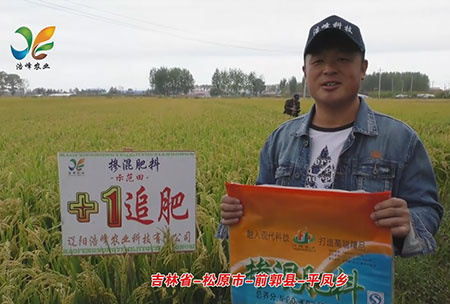 吉林省-鬆原(yuan)市-前郭(guo)縣(xian)-平(ping)鳳(feng)鄕(xiang)-用(yong)戶(hu)迴訪視頻(pin)