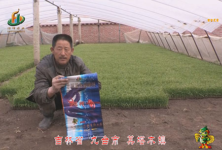 吉(ji)林(lin)省-九(jiu)檯(tai)市-其(qi)墖(ta)木(mu)鎮(zhen)-用戶(hu)迴(hui)訪(fang)視頻(pin)