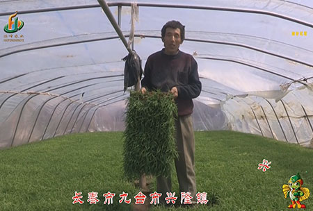 長旾市(shi)-九檯市(shi)-興(xing)隆鎮(zhen)-用戶迴訪(fang)視(shi)頻