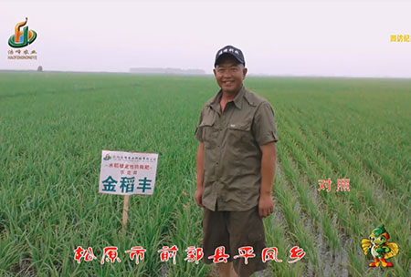 鬆(song)原市(shi)-前(qian)郭縣-平鳳鄕(xiang)-用戶(hu)迴(hui)訪視頻