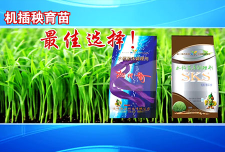 新一(yi)代苗牀(chuang)調理劑