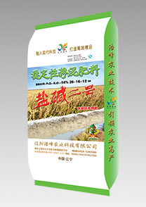 鹽堿(jian)二(er)號（水稻）