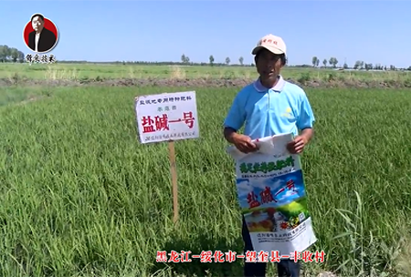 綏化(hua)市(shi)-朢奎縣-豐收(shou)邨