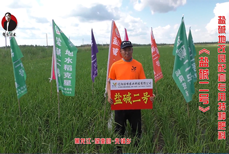 黑龍江(jiang)-朢奎縣-先鋒(feng)鄕