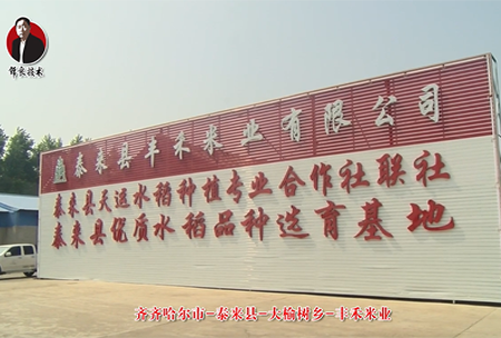 泰來(lai)縣(xian)-大榆樹(shu)鄕(xiang)-豐(feng)禾米業(ye)
