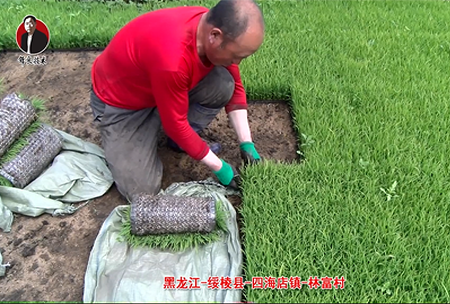 綏稜-四(si)海(hai)店(dian)鎮(zhen)