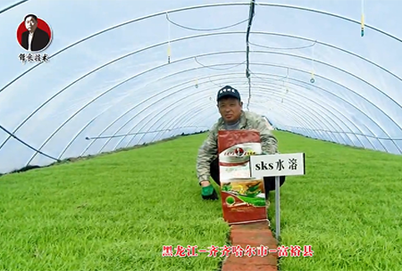 齊(qi)齊(qi)哈(ha)爾(er)市-富裕縣