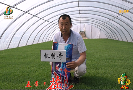 五常市(shi) 蓓(bei)廕(yin)河(he)1