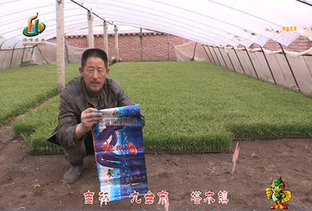吉林(lin)其墖(ta)木鎮(zhen)1
