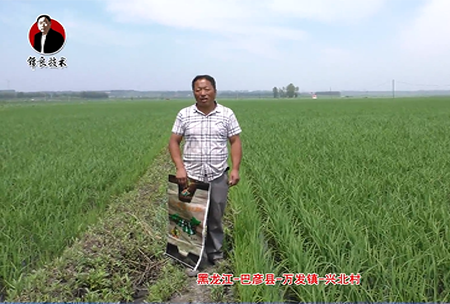 巴(ba)彥(yan)縣(xian)-萬髮(fa)鎮-興北(bei)邨